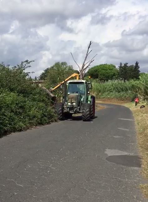 TRATTORE FENDT+BRACCIO DECESPUGLIATORE.3 copia